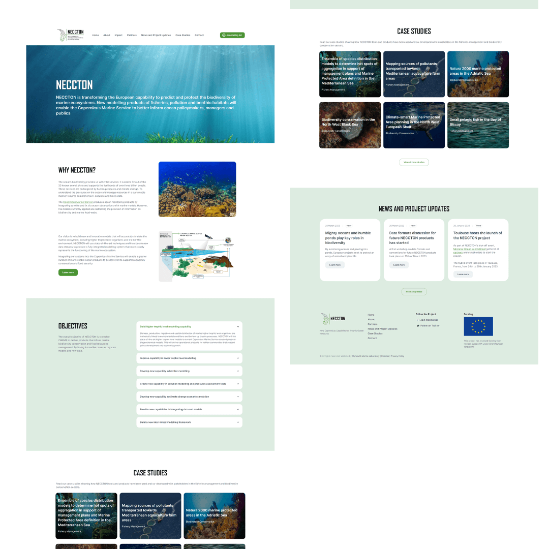 NECCTON Website Design