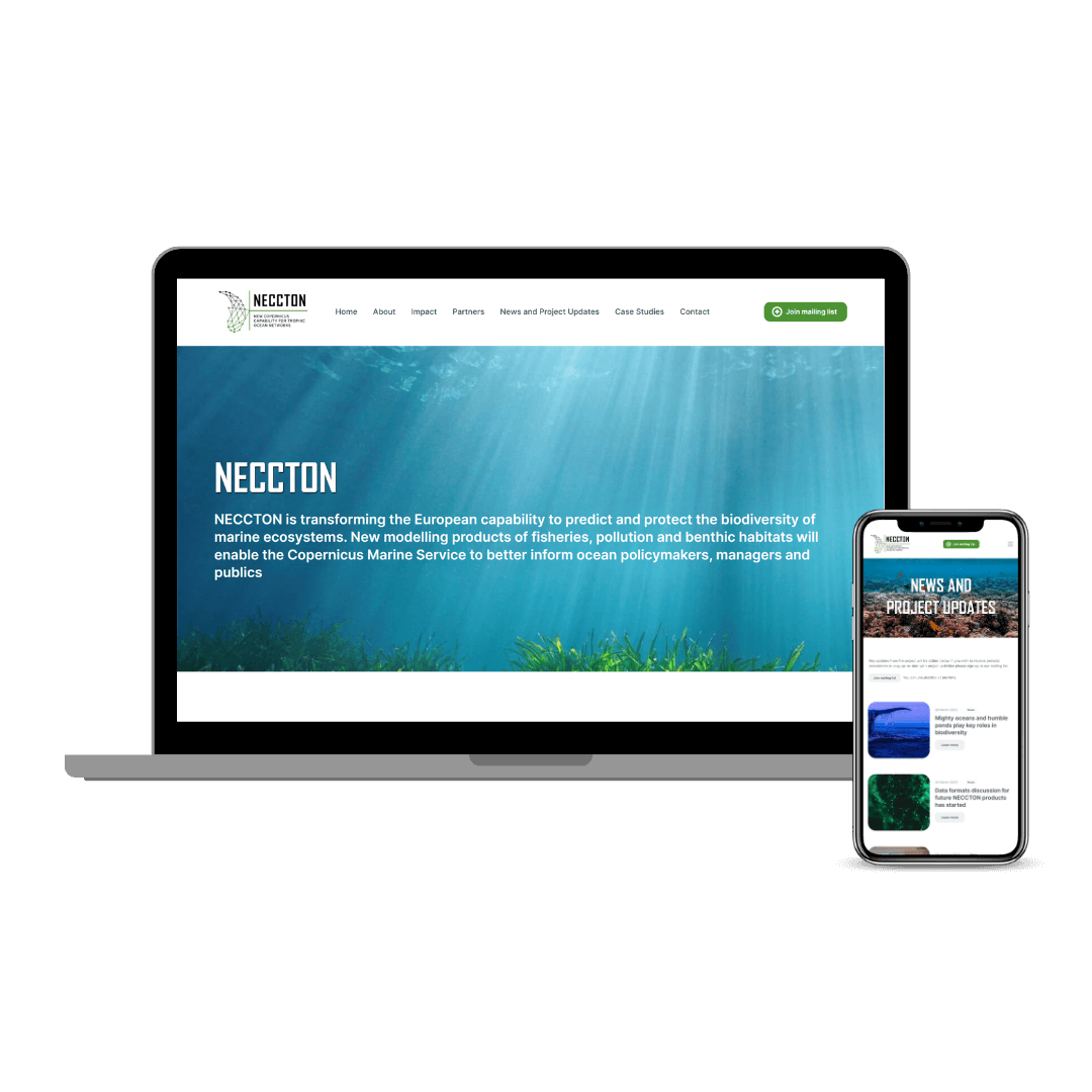 NECCTON website