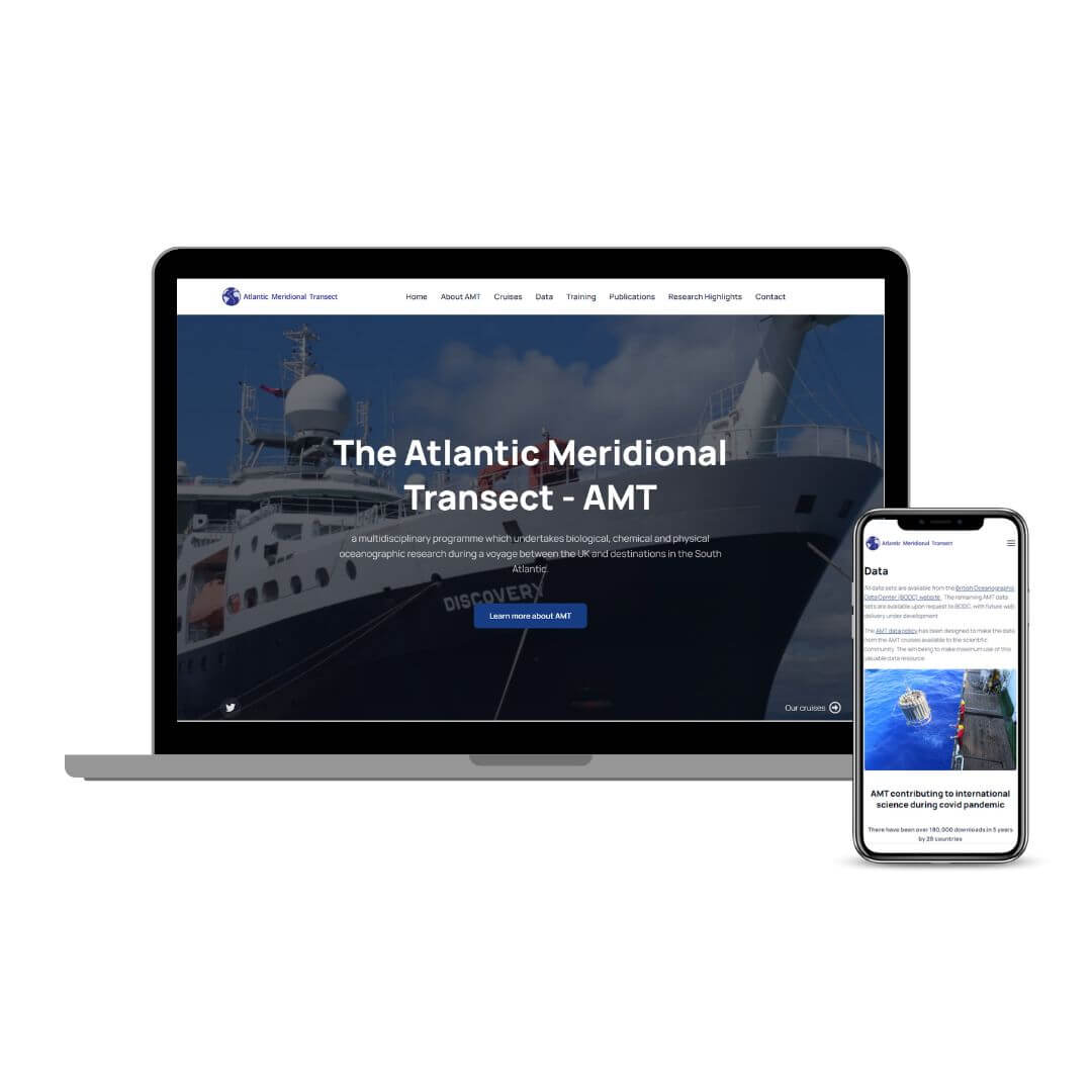 AMT Website Design