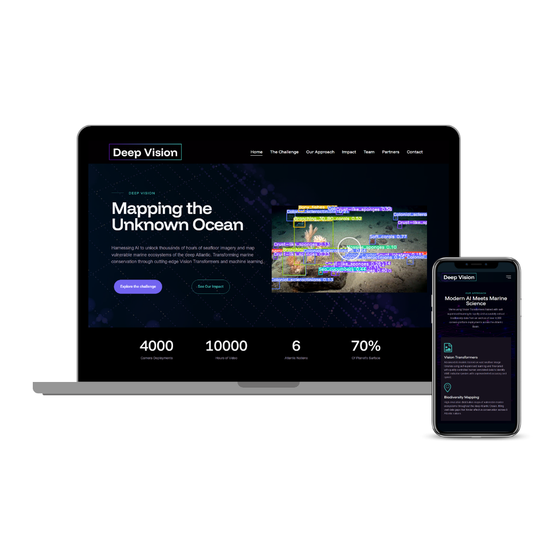 Deep Vision WordPress Website