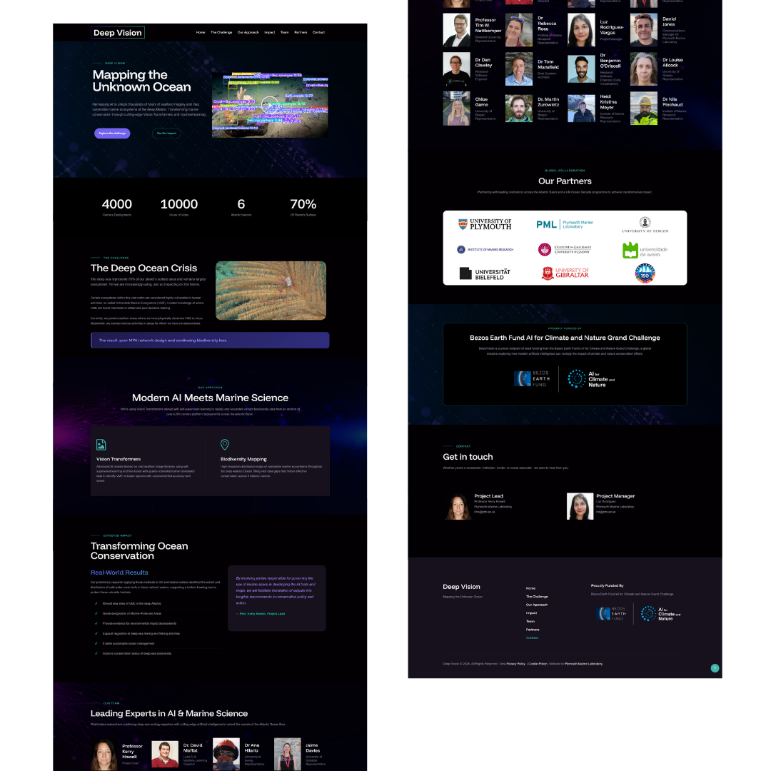 Deep Vision WordPress Website